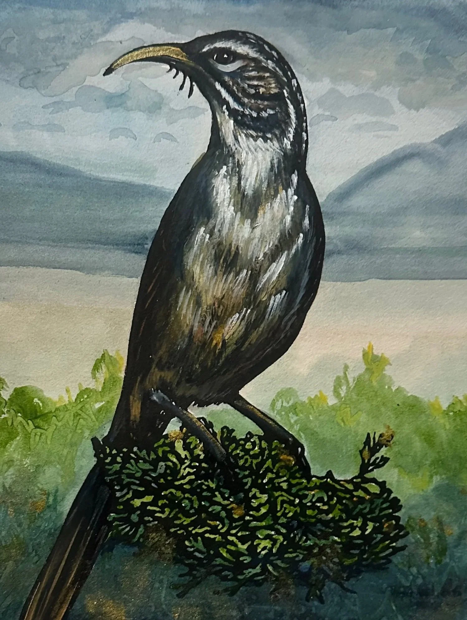 W.Haack+Thrasher+Watercolor.jpg
