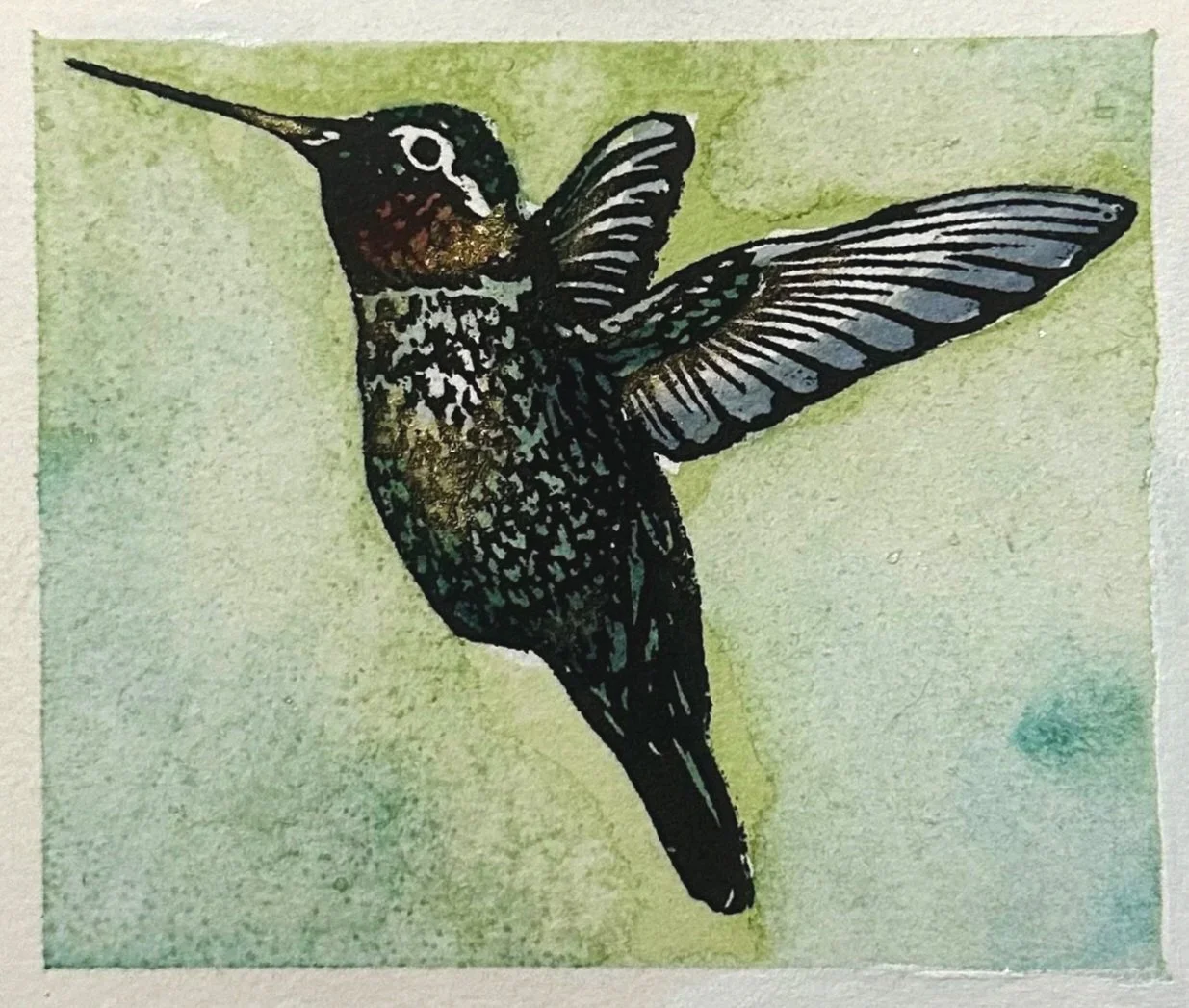 W.Haack+Humminbird+Watercolor.jpg