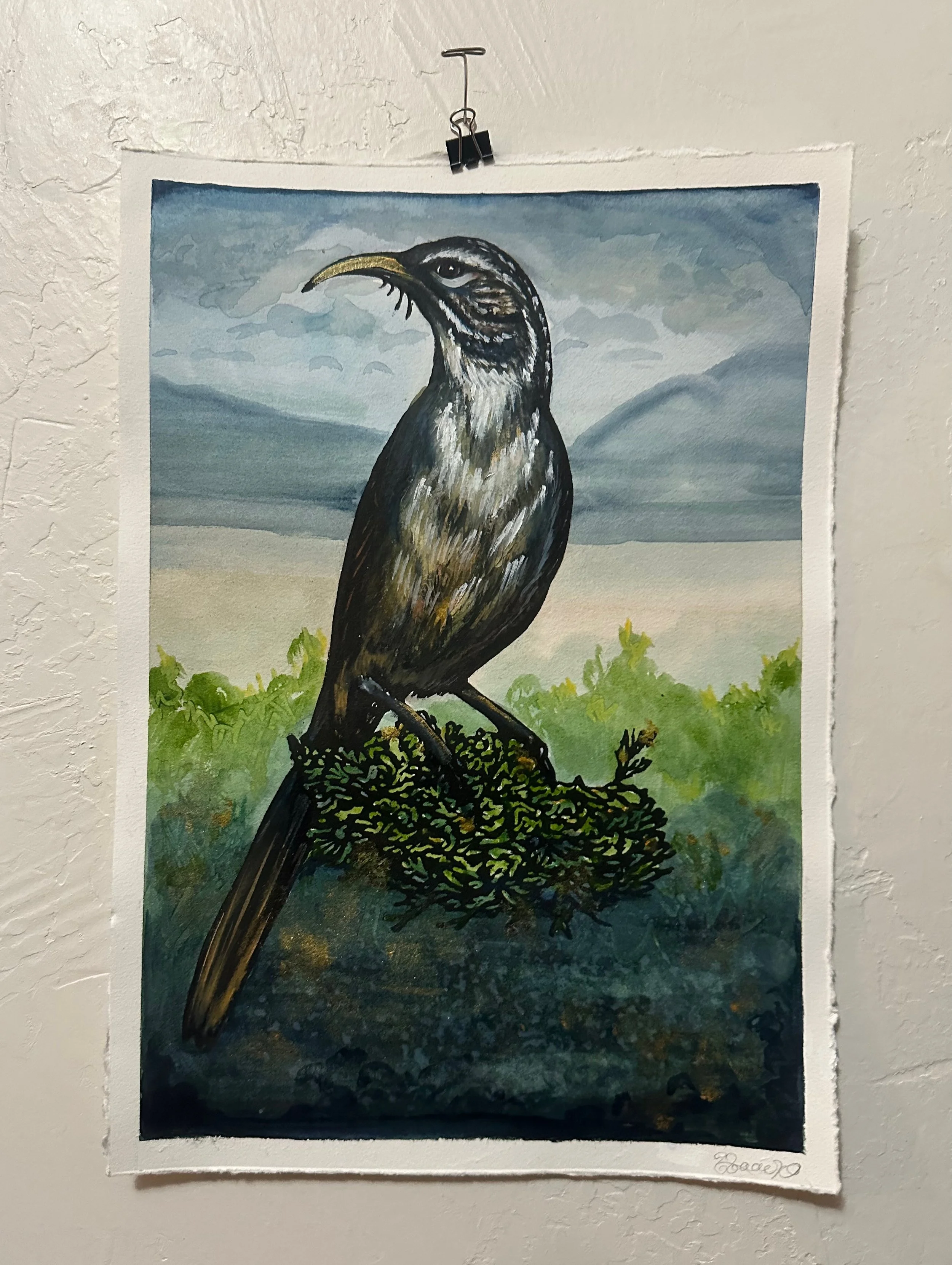 W.Haack Thrasher Watercolor.jpeg