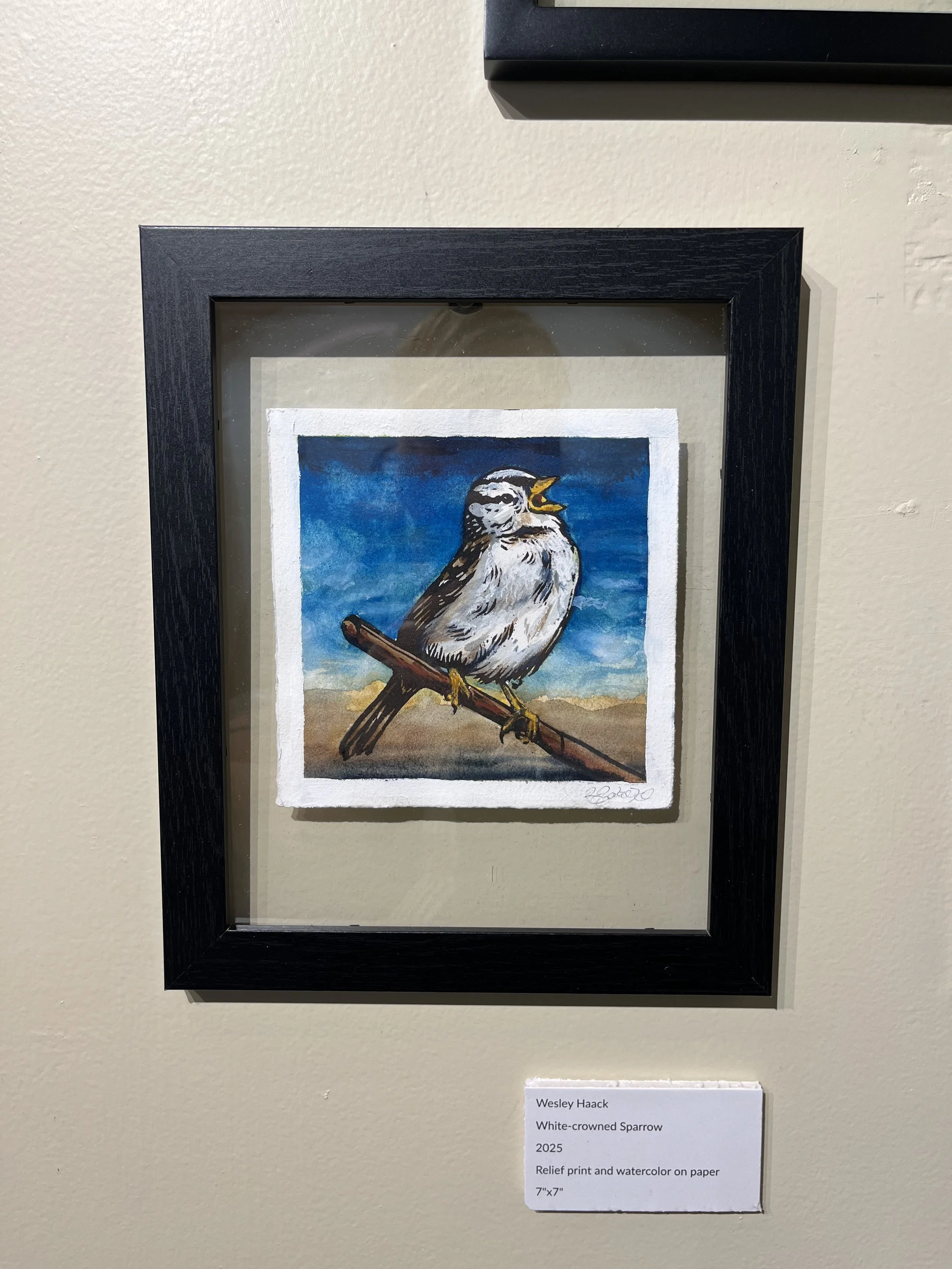 White-crowned Sparrow watercolor print