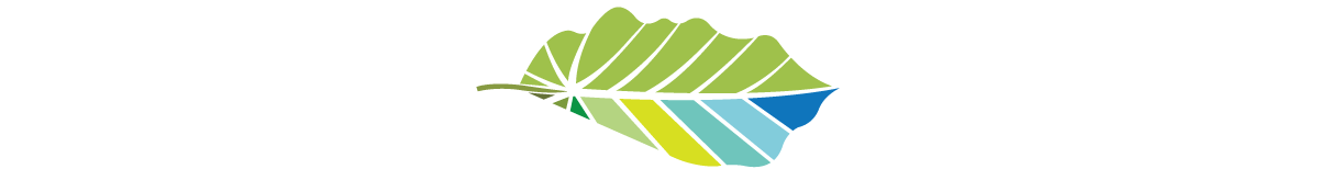 logo-durp-ohana-leaf.png
