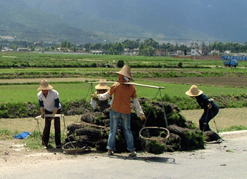 Life goes on during Labour Day 