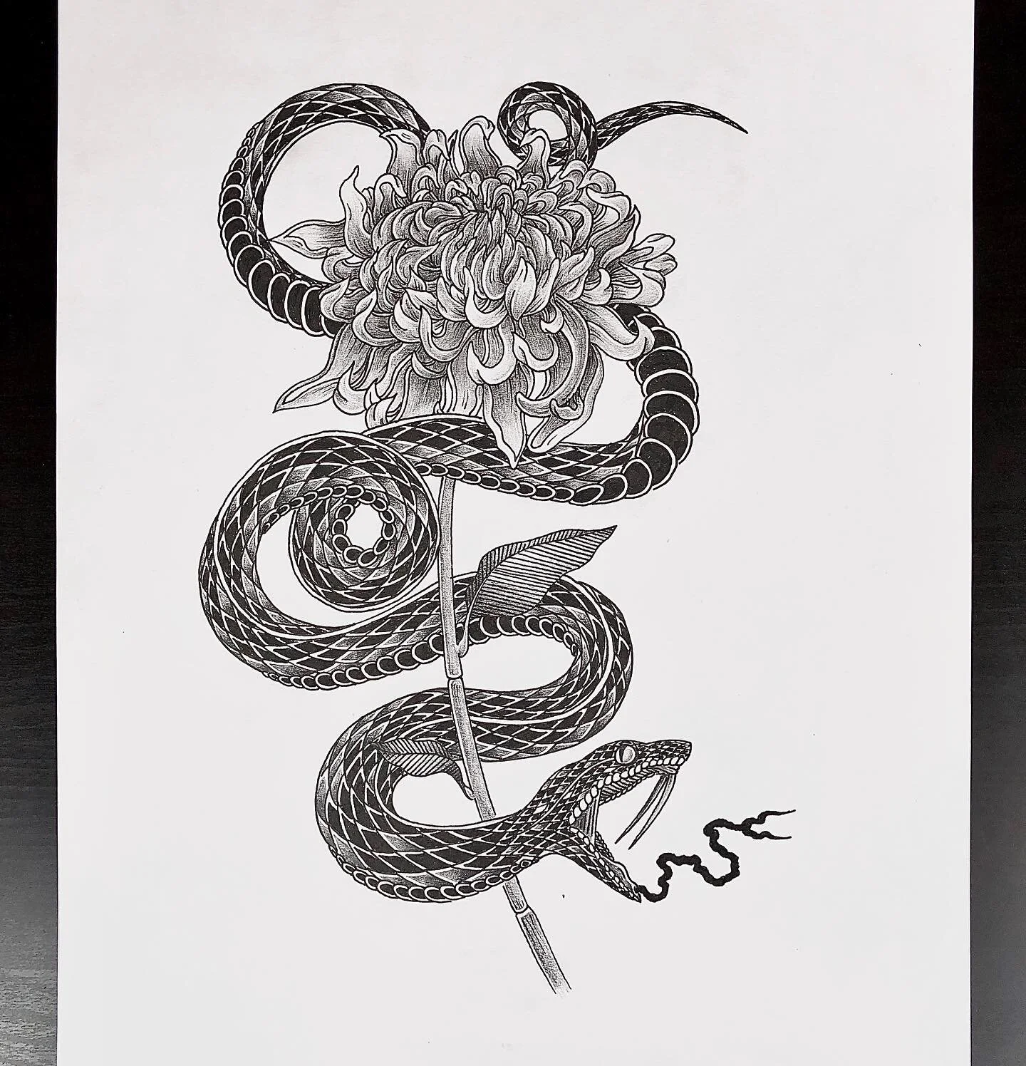 Probably time to take a break from snakes!!!