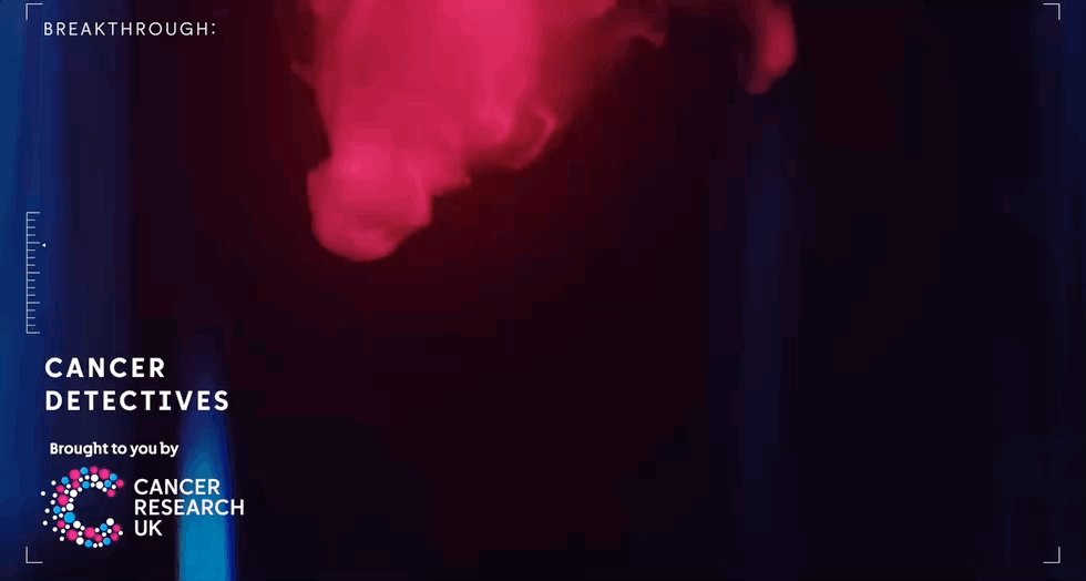 Nov-17-2025 5-00-58 pm.gif