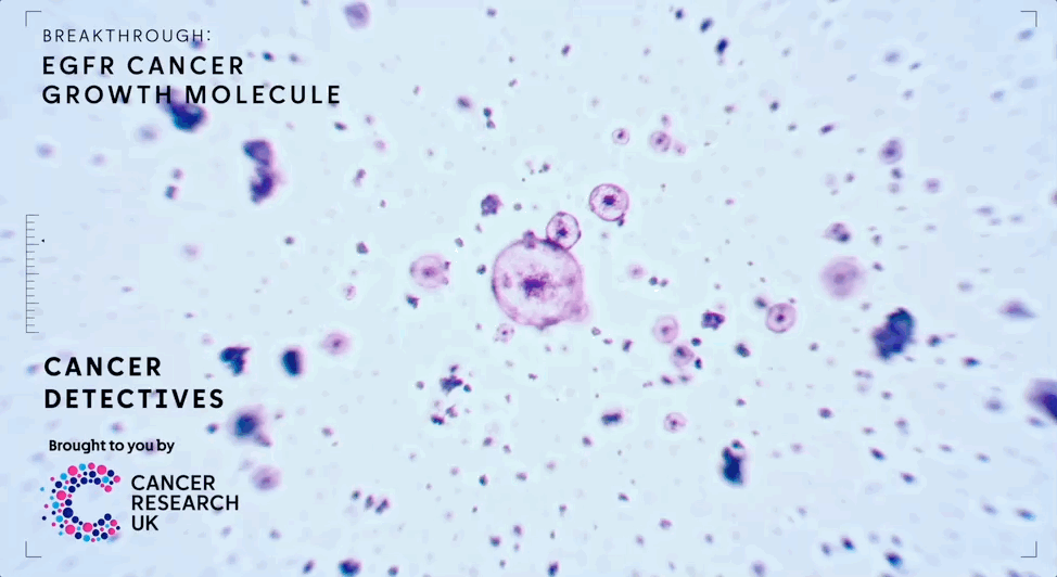 Nov-17-2025 5-00-45 pm.gif