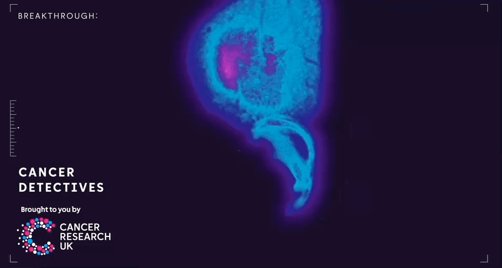 Nov-17-2025 5-01-21 pm.gif