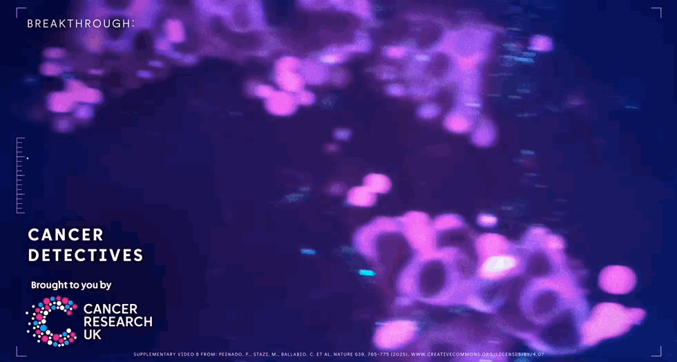 Nov-17-2025 5-01-43 pm.gif