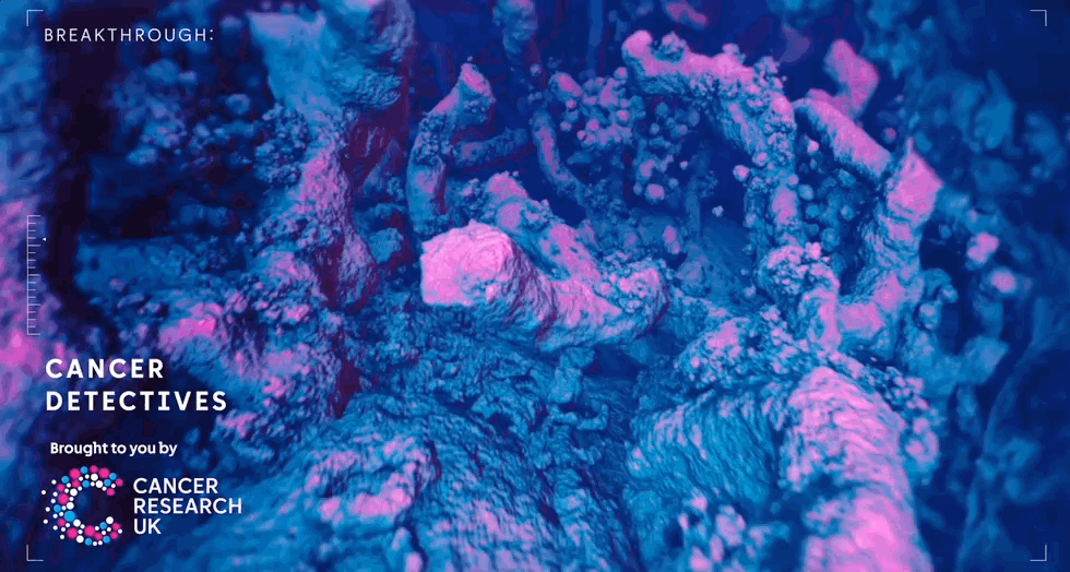 Feb-12-2026 2-24-55 pm.gif