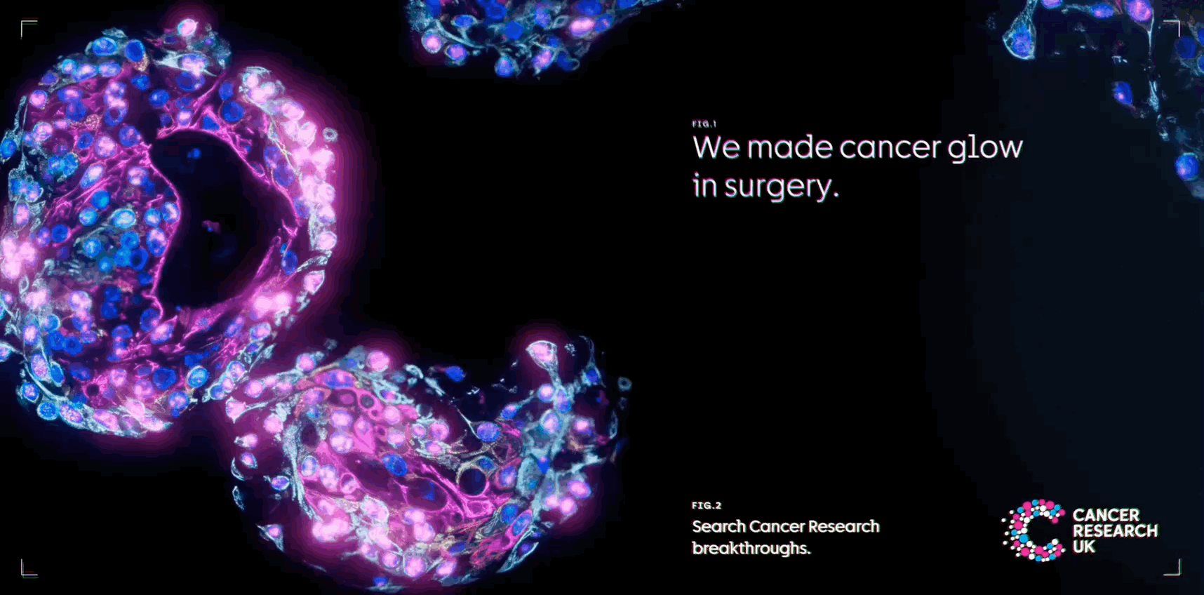 Feb-12-2026 2-26-25 pm.gif