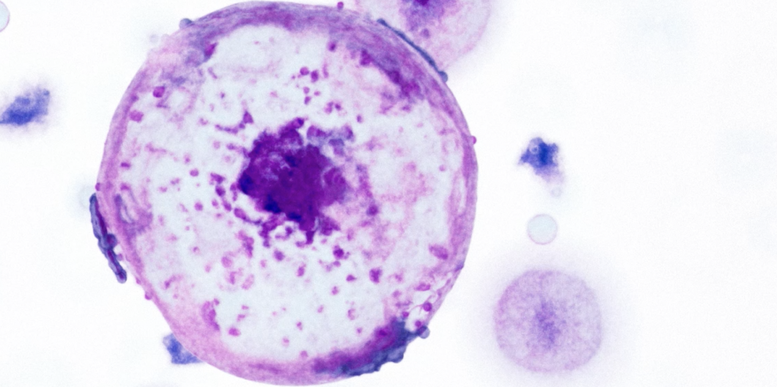 Screenshot 2026-02-12 at 2.31.36 pm.png