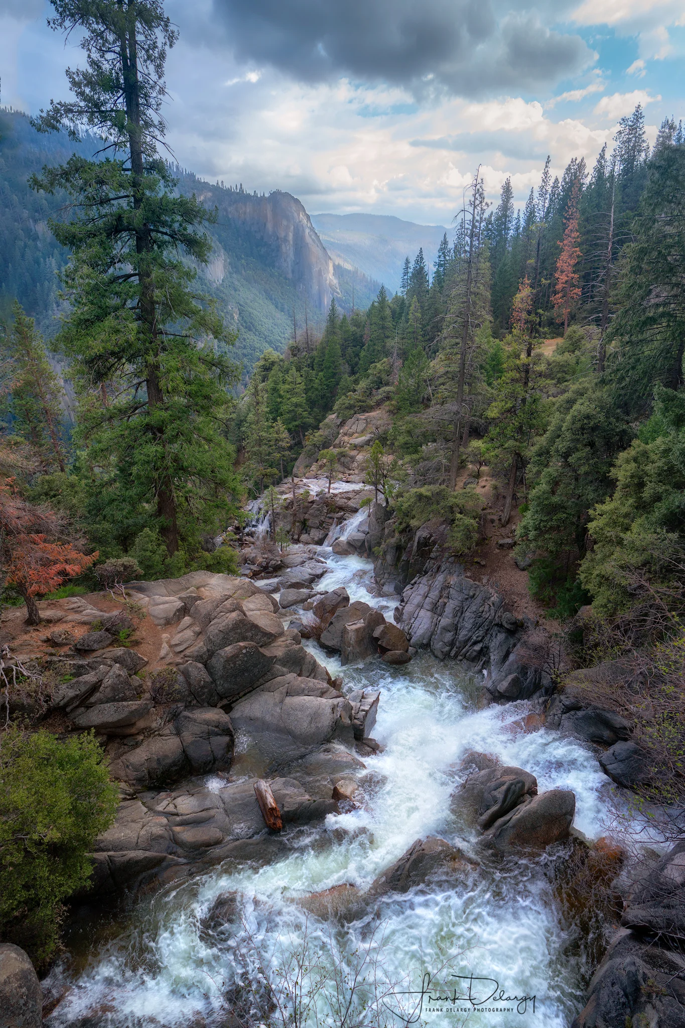 _DSC9337-Yosemite-entrance-road.jpg