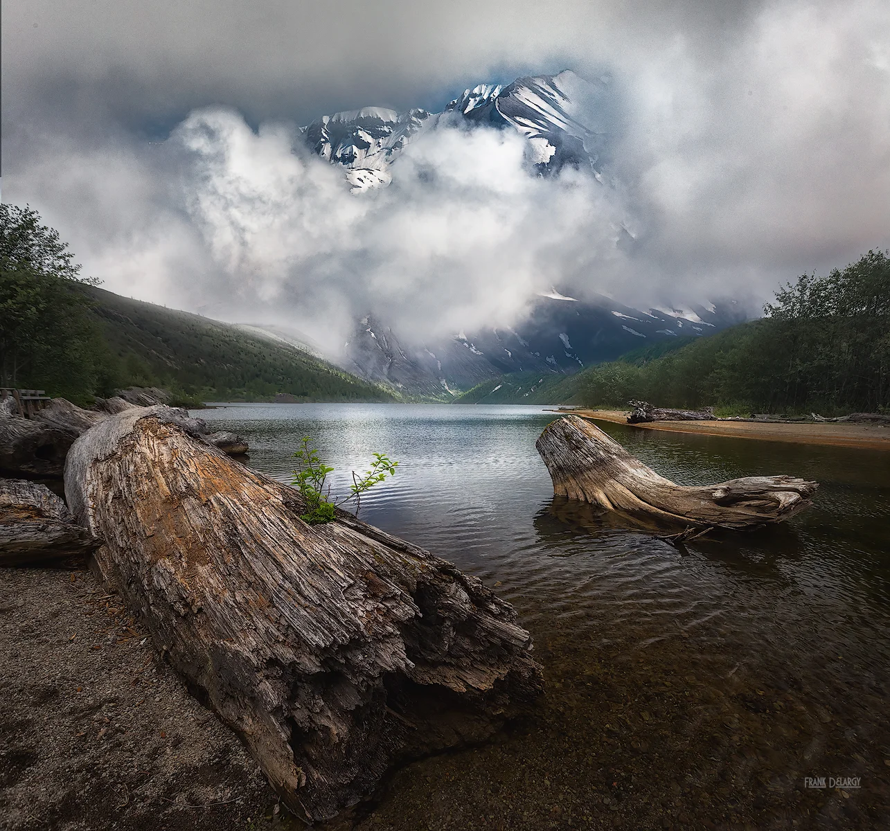 _DSC3298-Mt-St-Helens.jpg