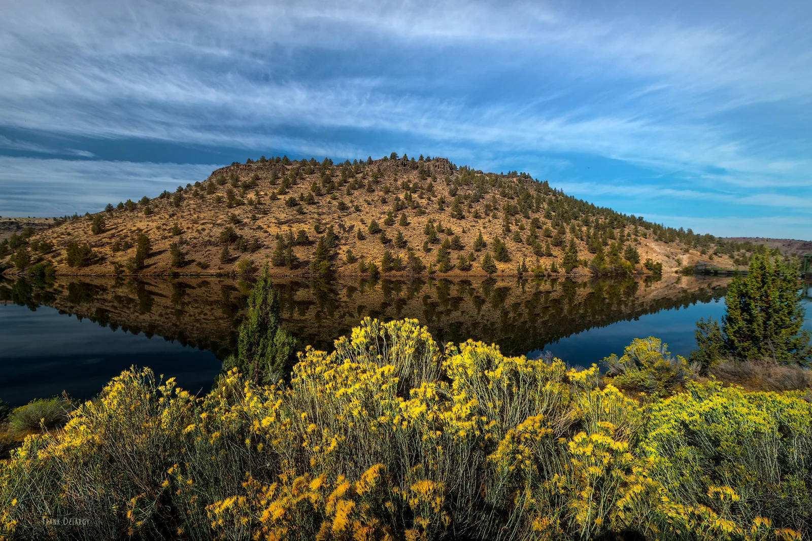 _DSC4826-mirror.jpg