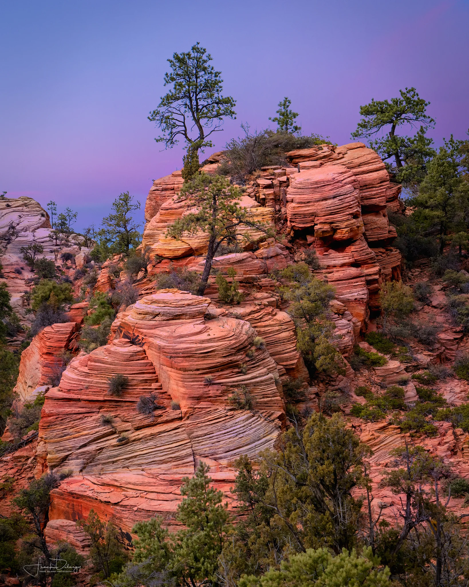_DSC2397-tree-sliprock.jpg