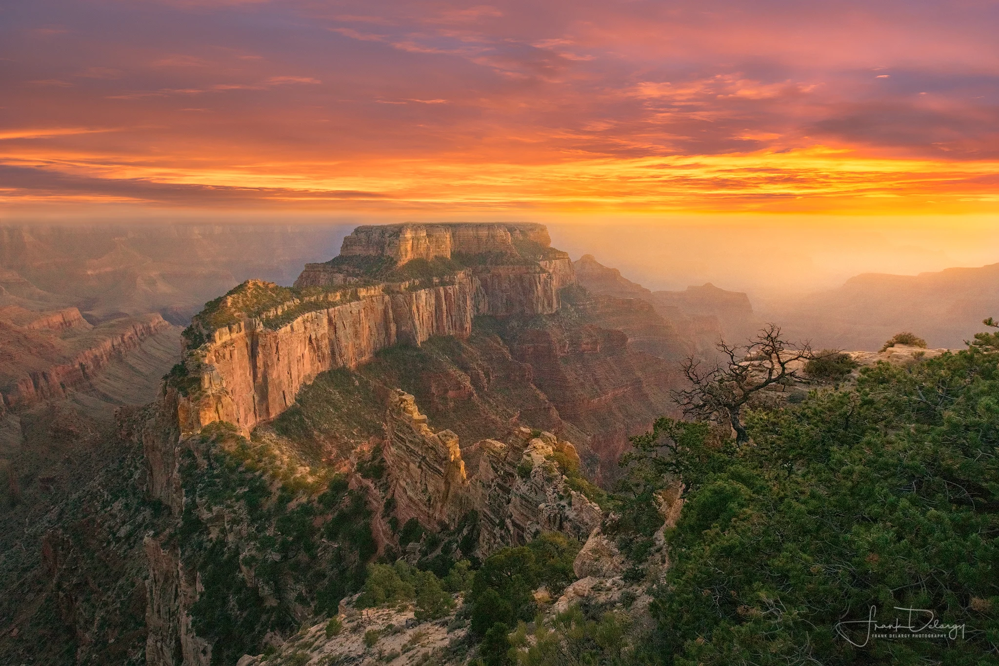 _DSC7585-cliff-tree-redo2.jpg