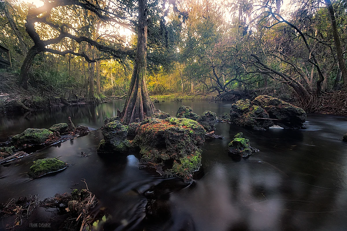 _DSC8319-Hillsborough-SP-rapids.jpg