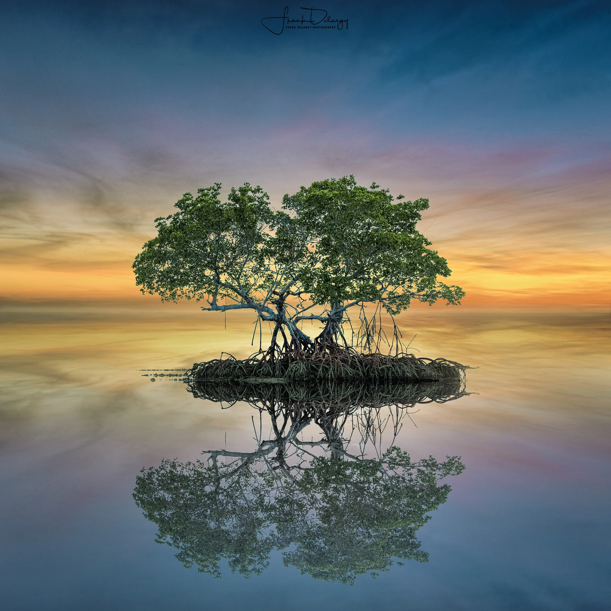 mangrove-square-redo-1.jpg