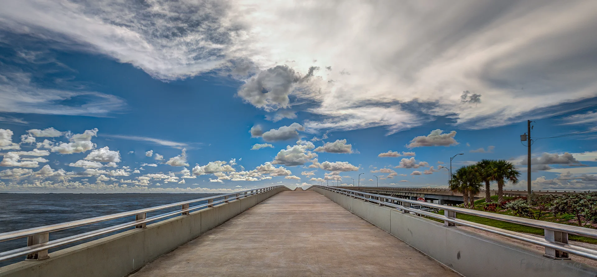 new-bike-path-from-Tampa-to-Safety-Harbor-.jpg