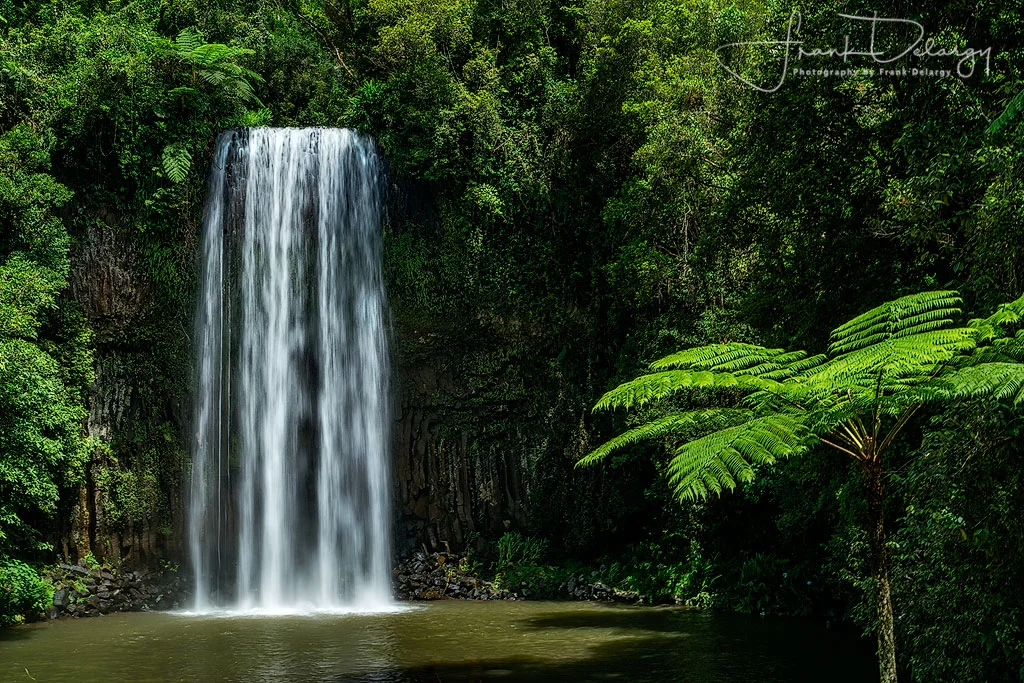 _DSC3715-Millaa-Millaa-Falls.jpg