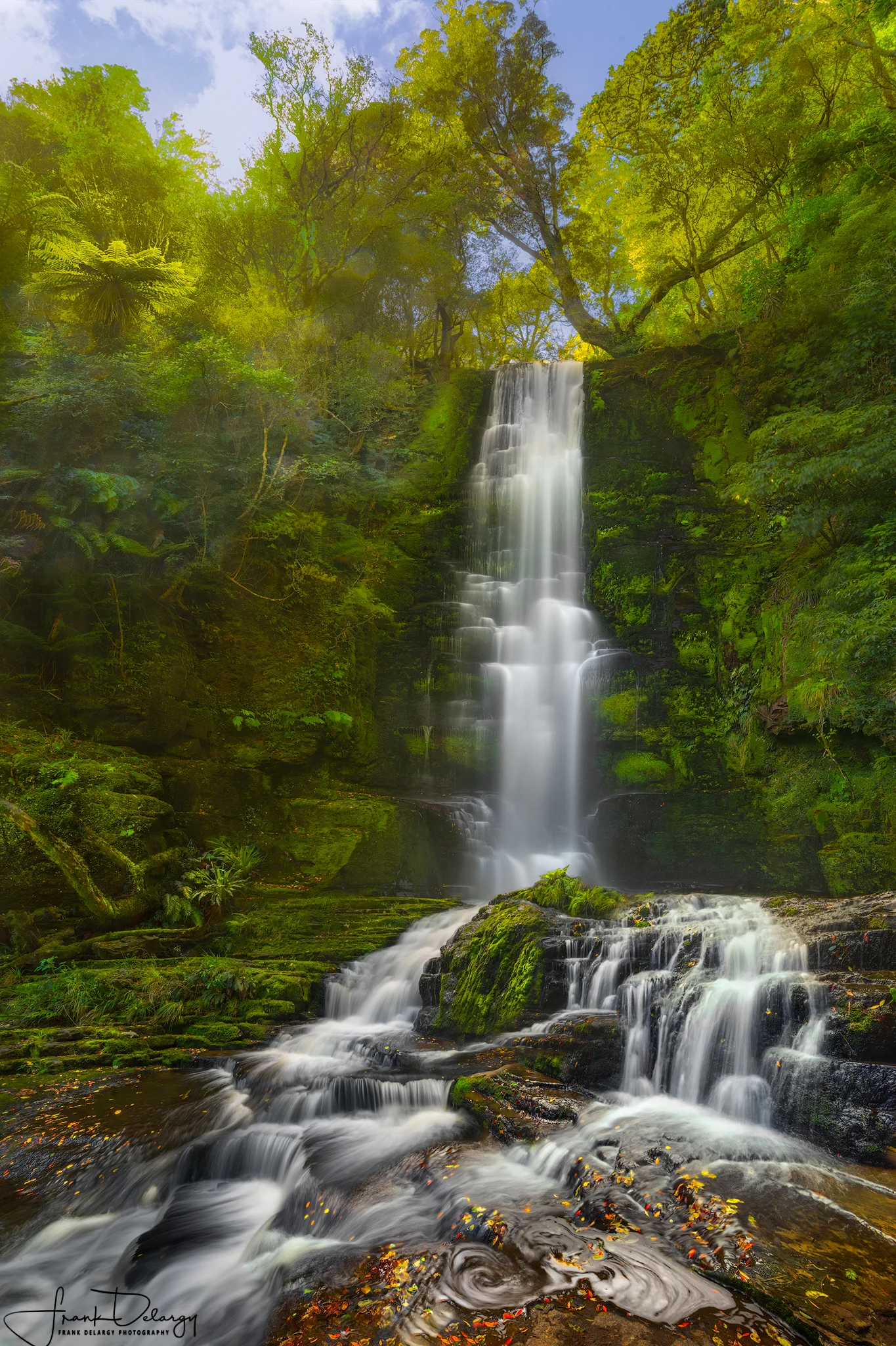 _DSC6412--McLean-Falls-redo4.jpg