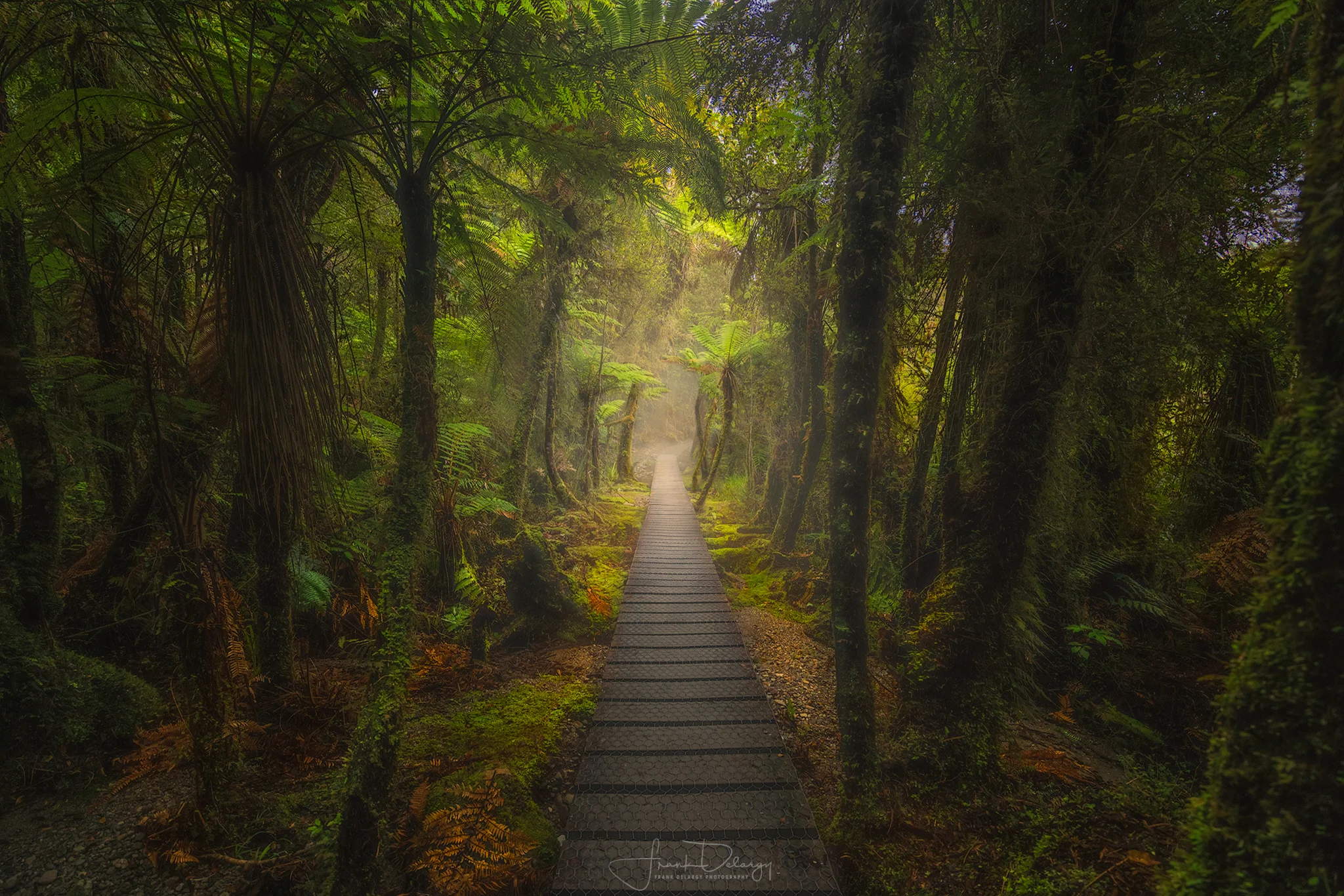 _DSC8120-Matheson-path3.jpg