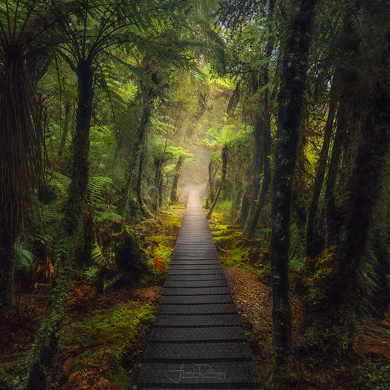 _DSC8120-Matheson-path-redo.jpg