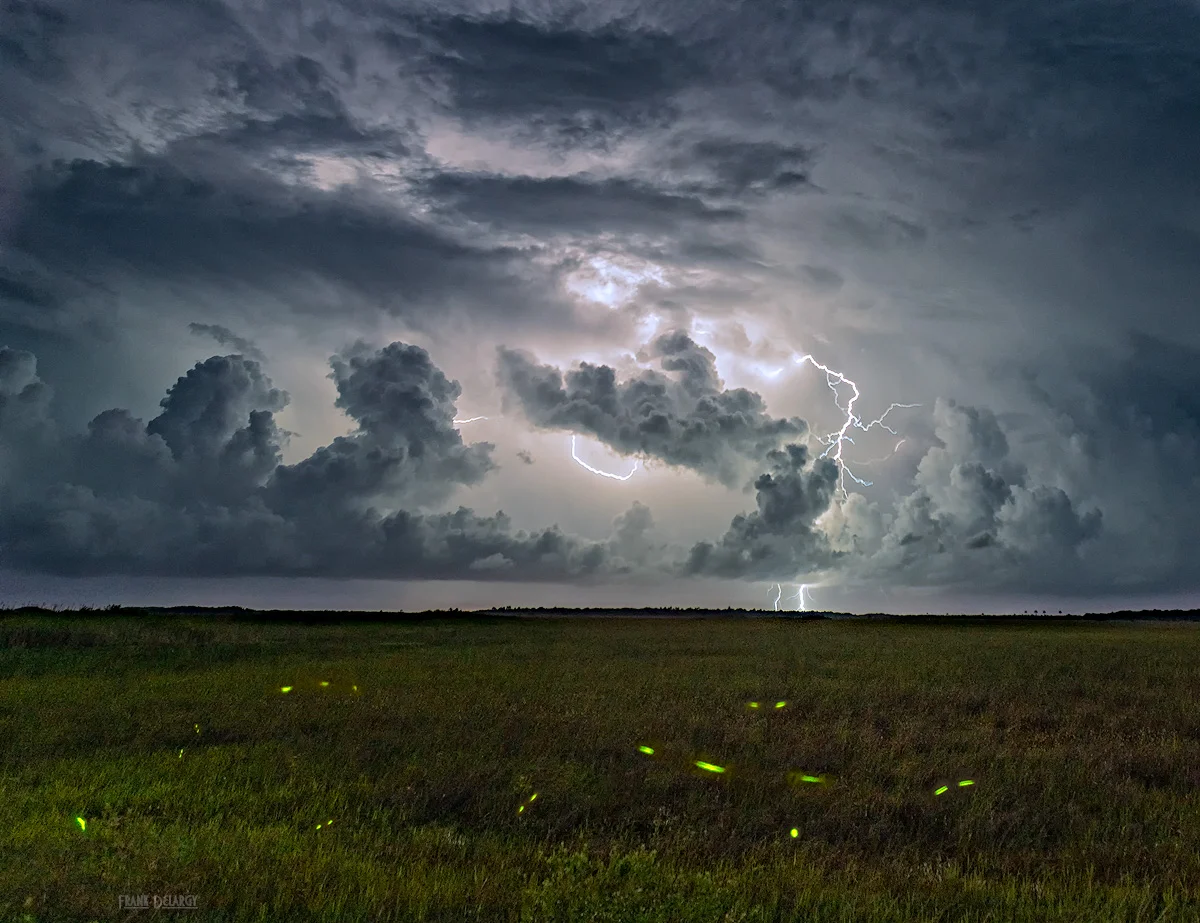 lightning-and-bugs-redo2-2.jpg