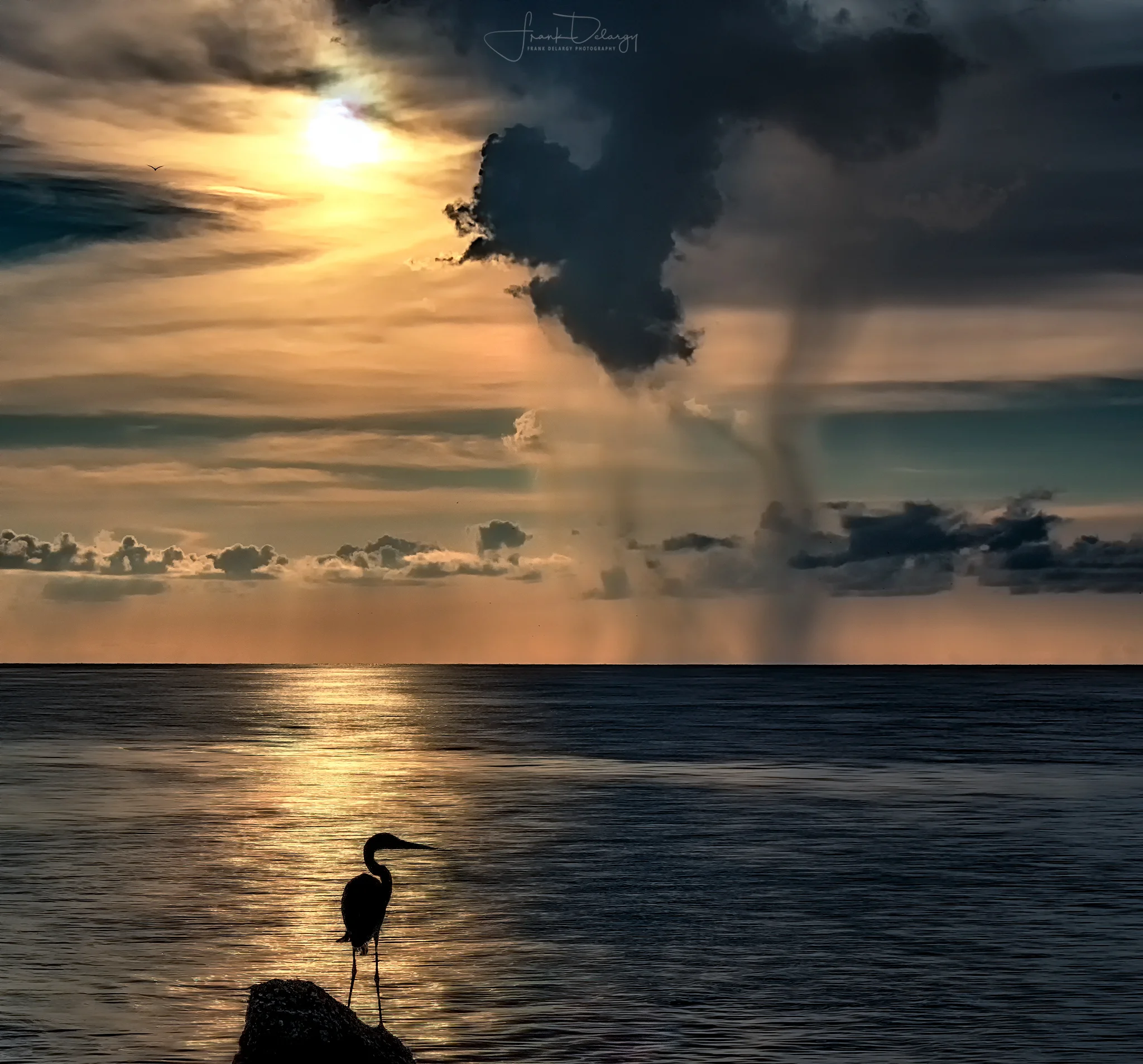 _MG_4074-Gulf-Rain-2.jpg