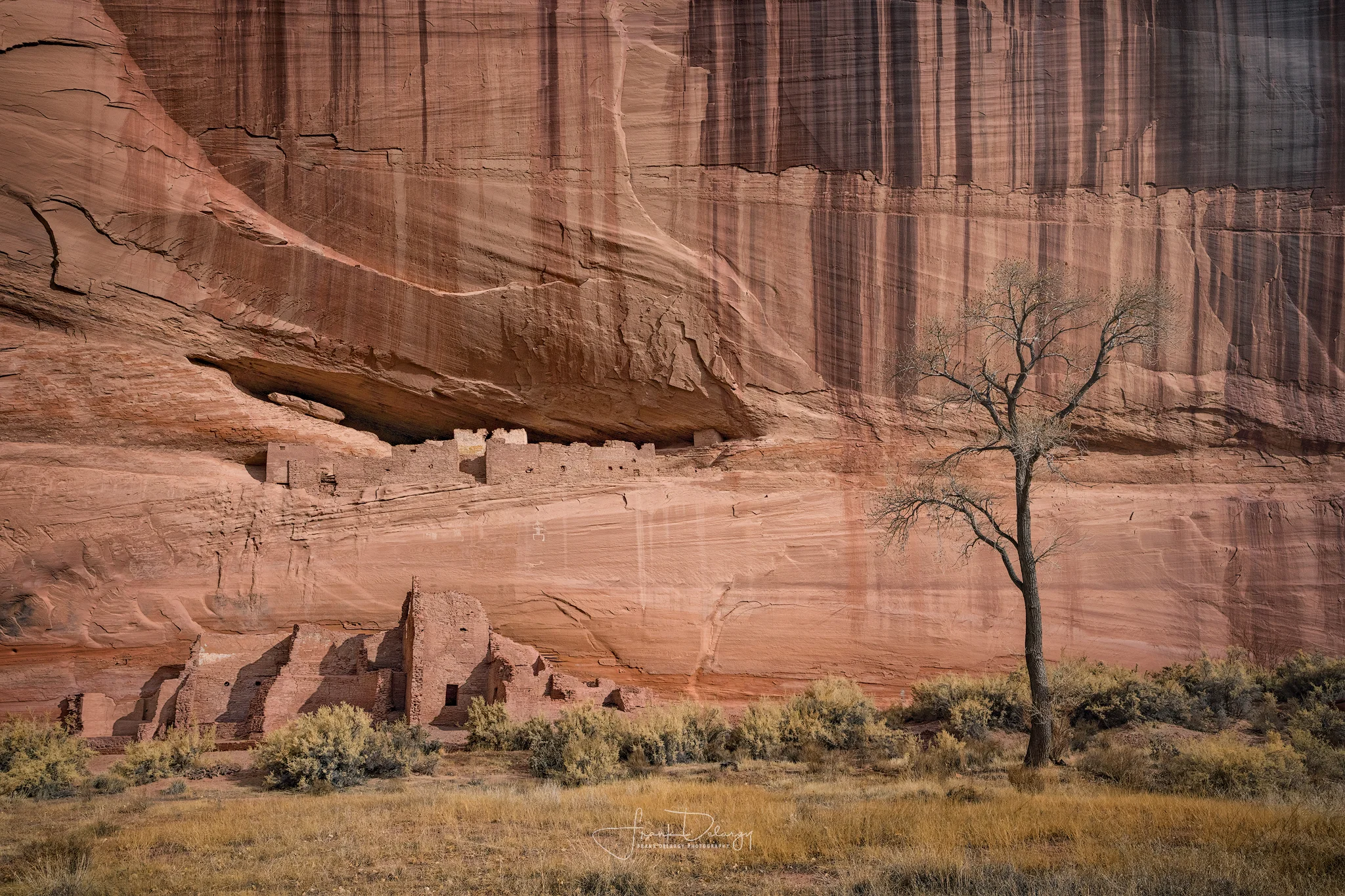 _DSC4900-Edit-pueblo-and-tree.jpg