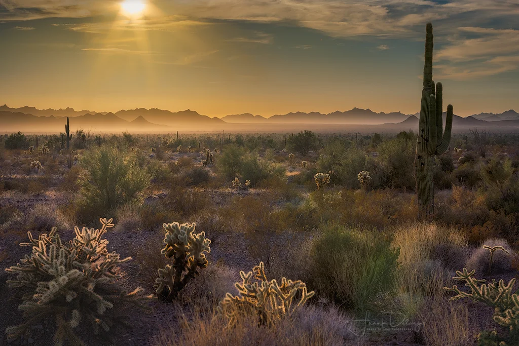 _DSC3160-Kofa-National-Wildlife-Refuge-AZ.jpg