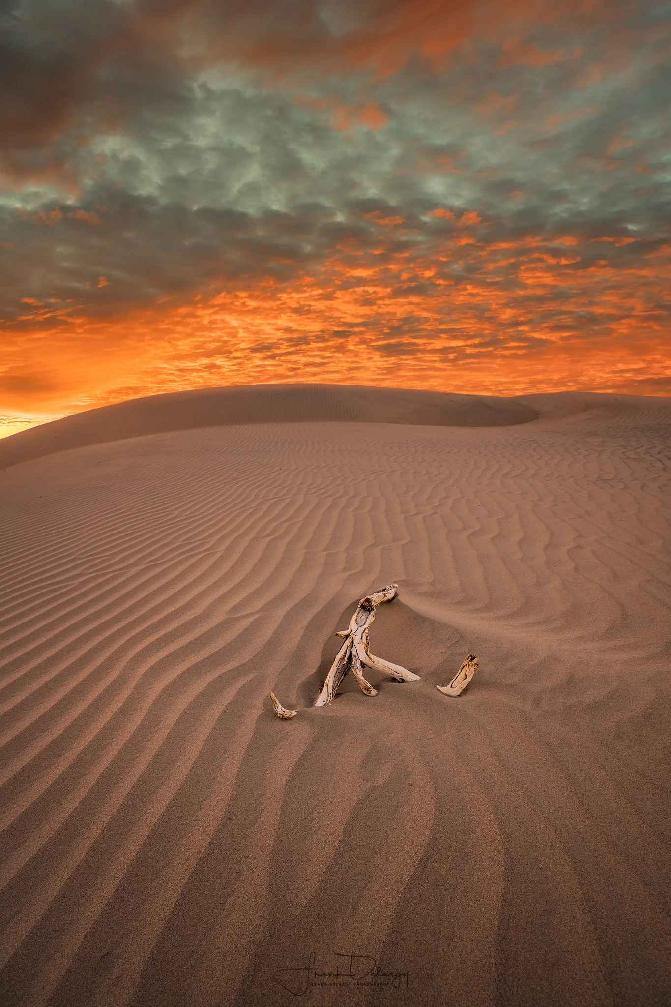 _DSC3389-Dunes-sunset.jpg