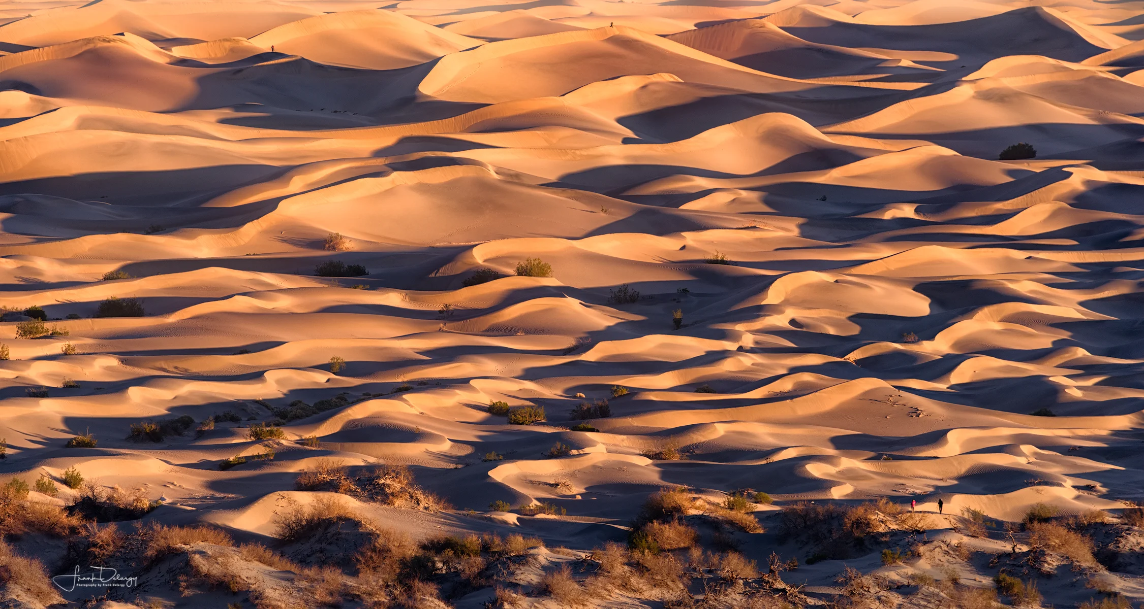 _DSC8273-4-photographers-death-valley.jpg