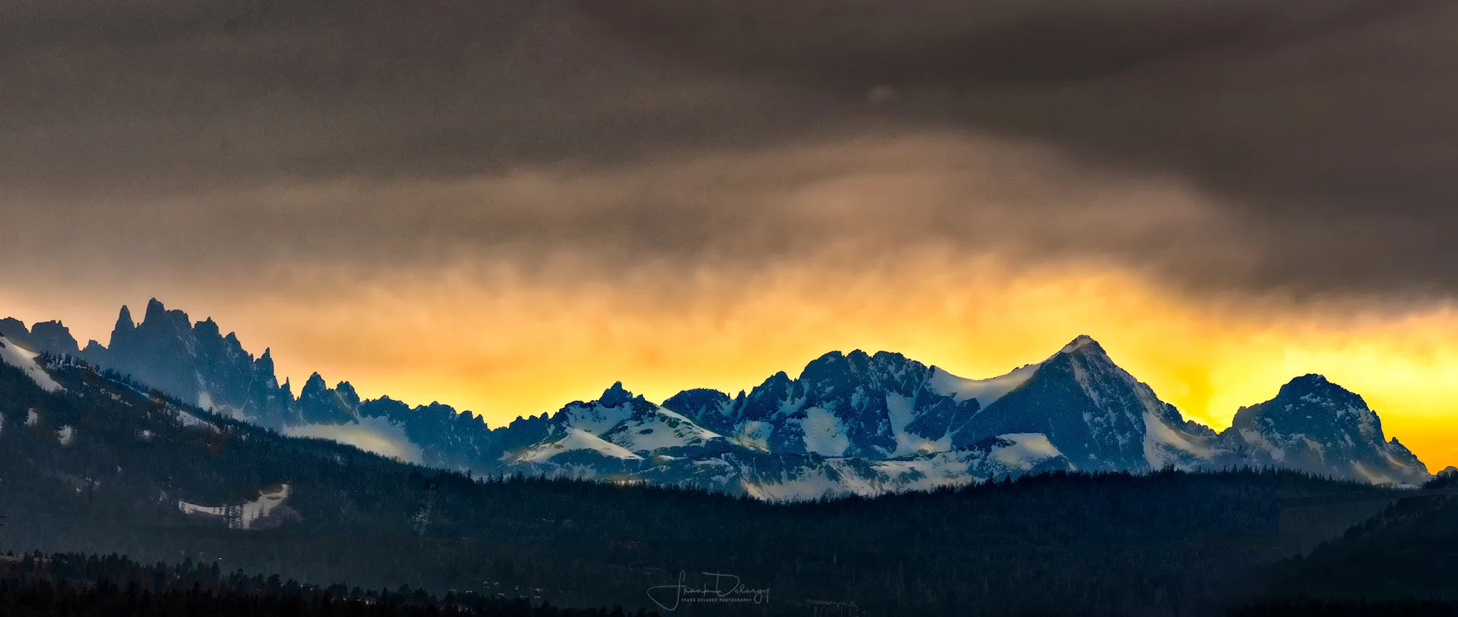 _DSC3520-copy.jpg