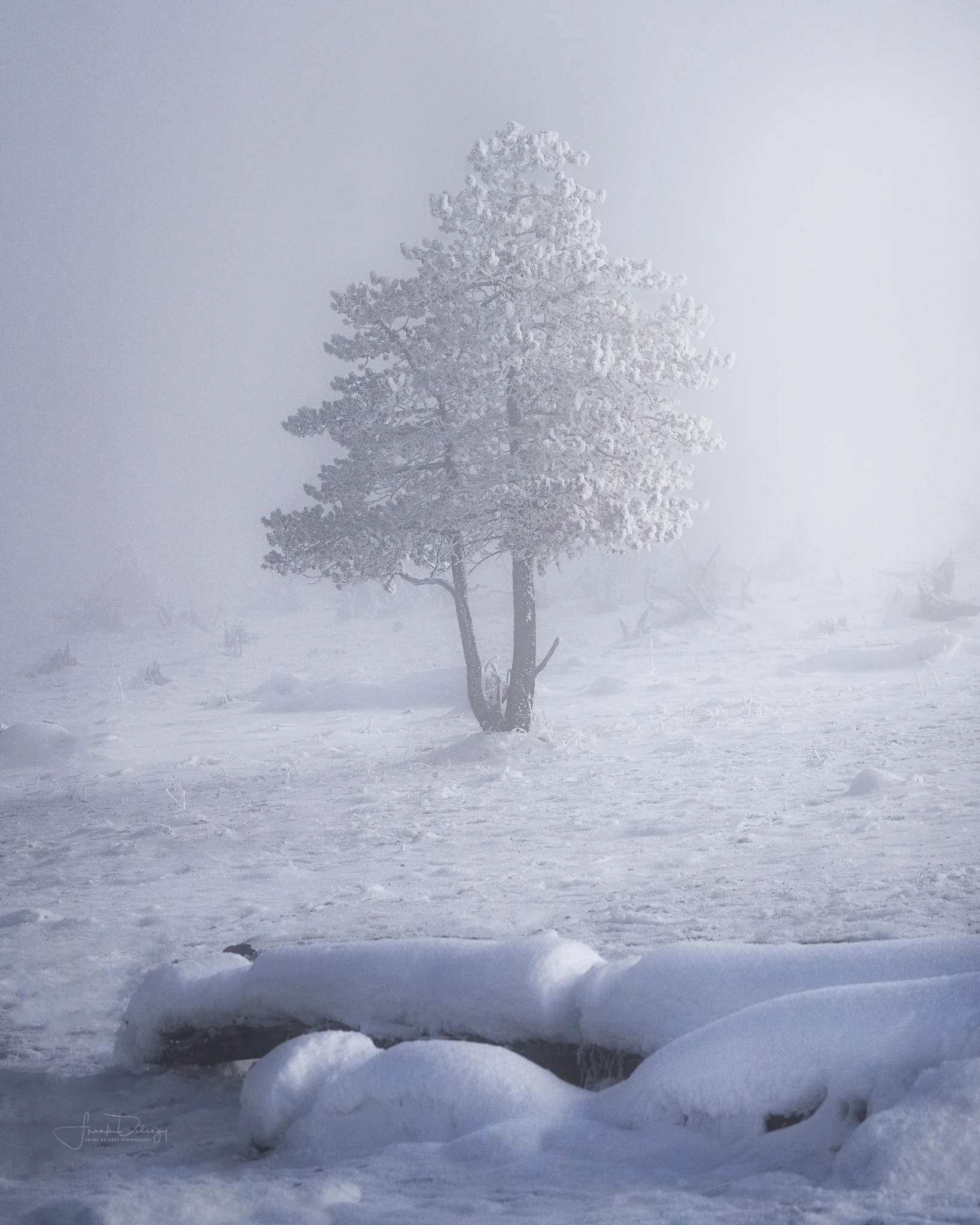 _A7R8124-copy.jpg