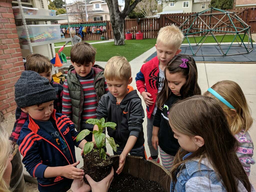 Enrollment&nbsp; Info