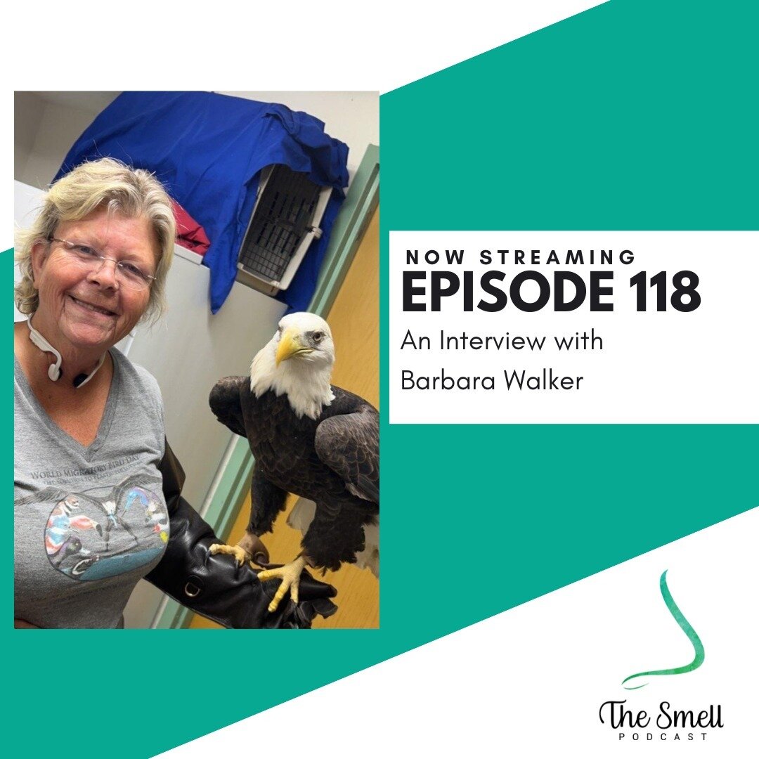 🎙️ Episode 118 of The Smell Podcast is now streaming! 🎙️

In this episode, I chat with Barbara Walker about her experience recovering her sense of smell after 35 years with acquired anosmia! 

Listen now: www.thesmellpodcast.com

#anosmia #smelllos
