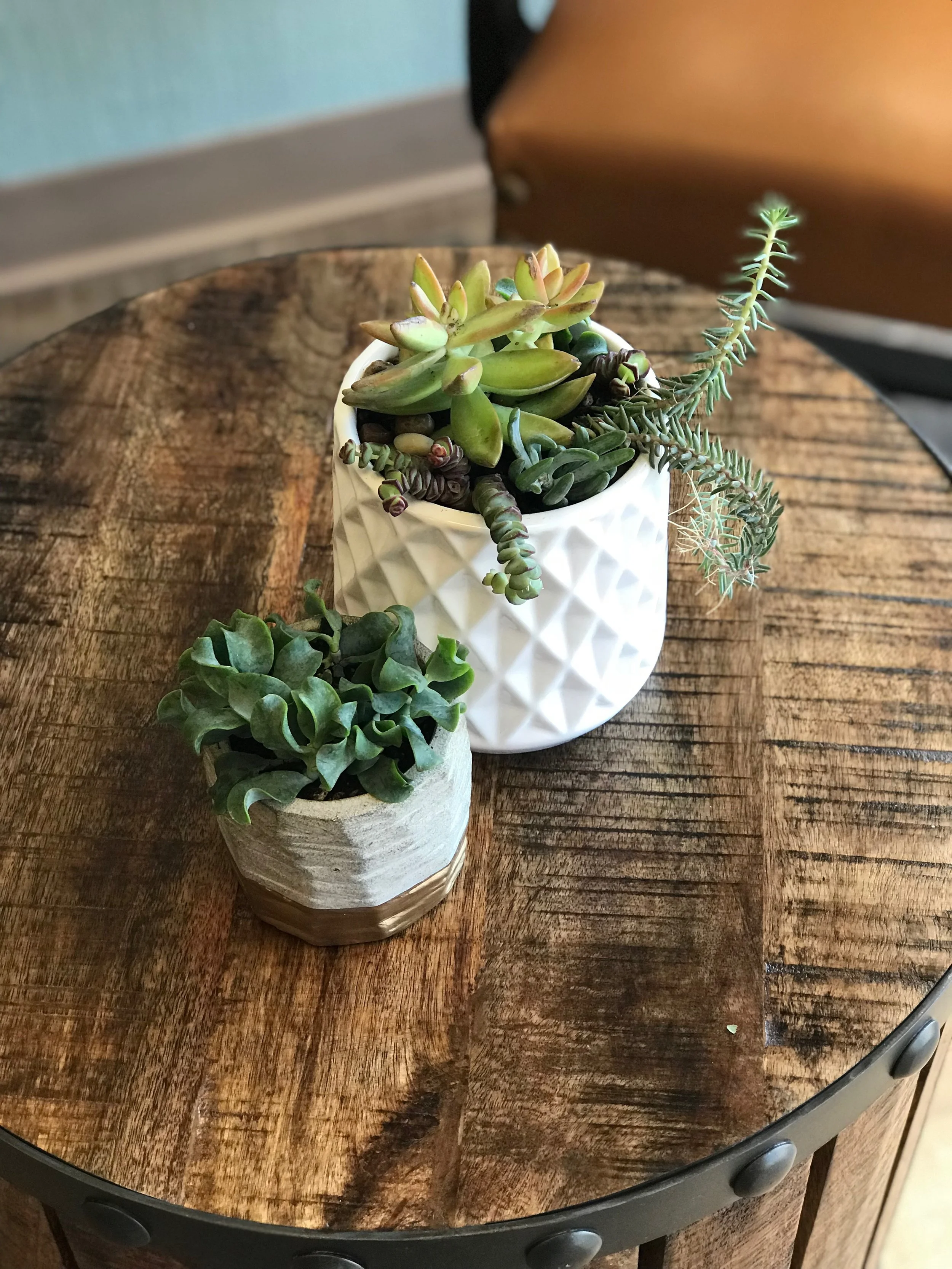 Flowers Springfield Oregon Flower Shop — Springfield Coffee and Flower Shop Crema and Bloom