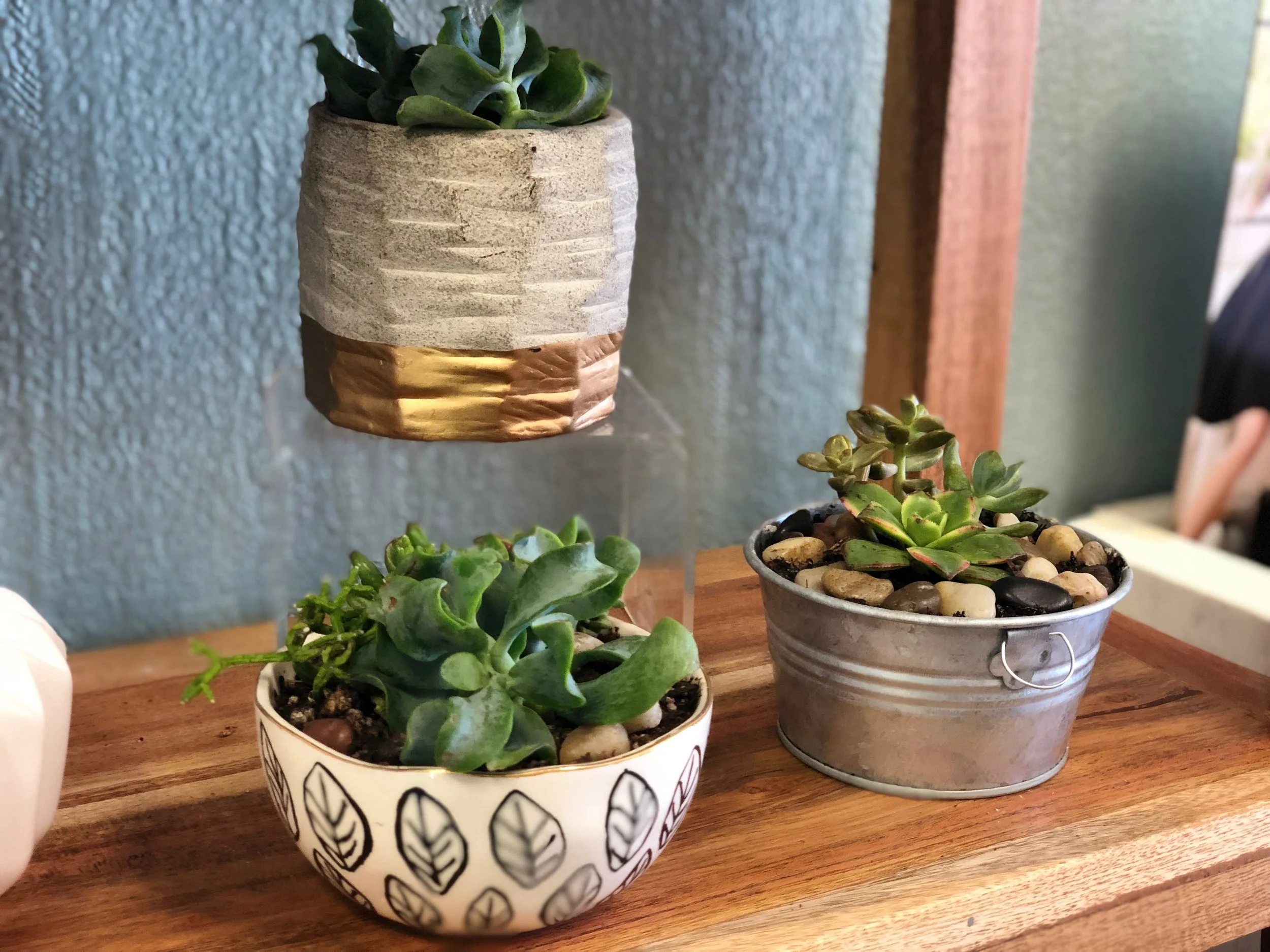 Flowers Springfield Oregon Flower Shop — Springfield Coffee and Flower Shop Crema and Bloom