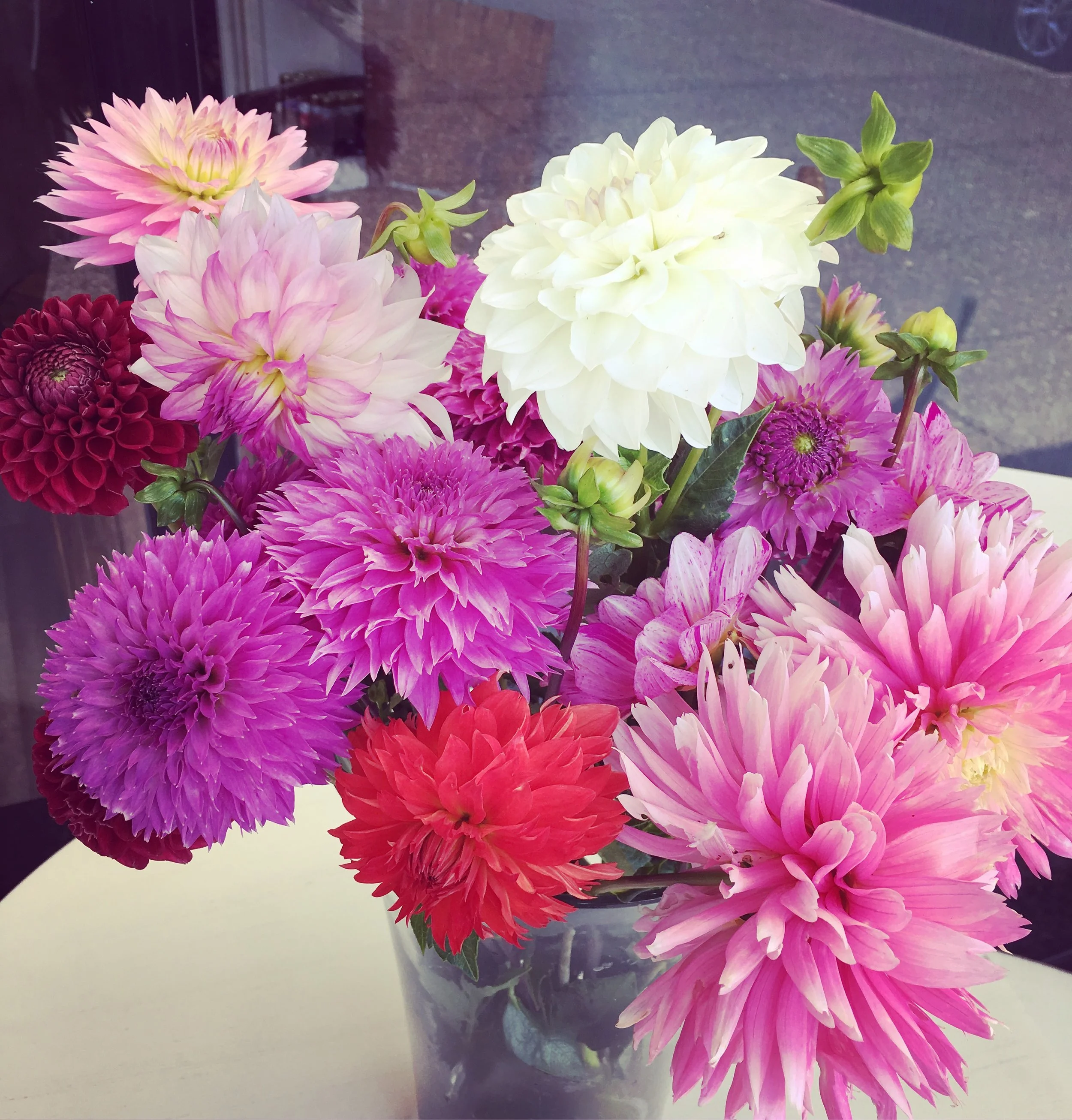 Flowers Springfield Oregon Flower Shop — Springfield Coffee and