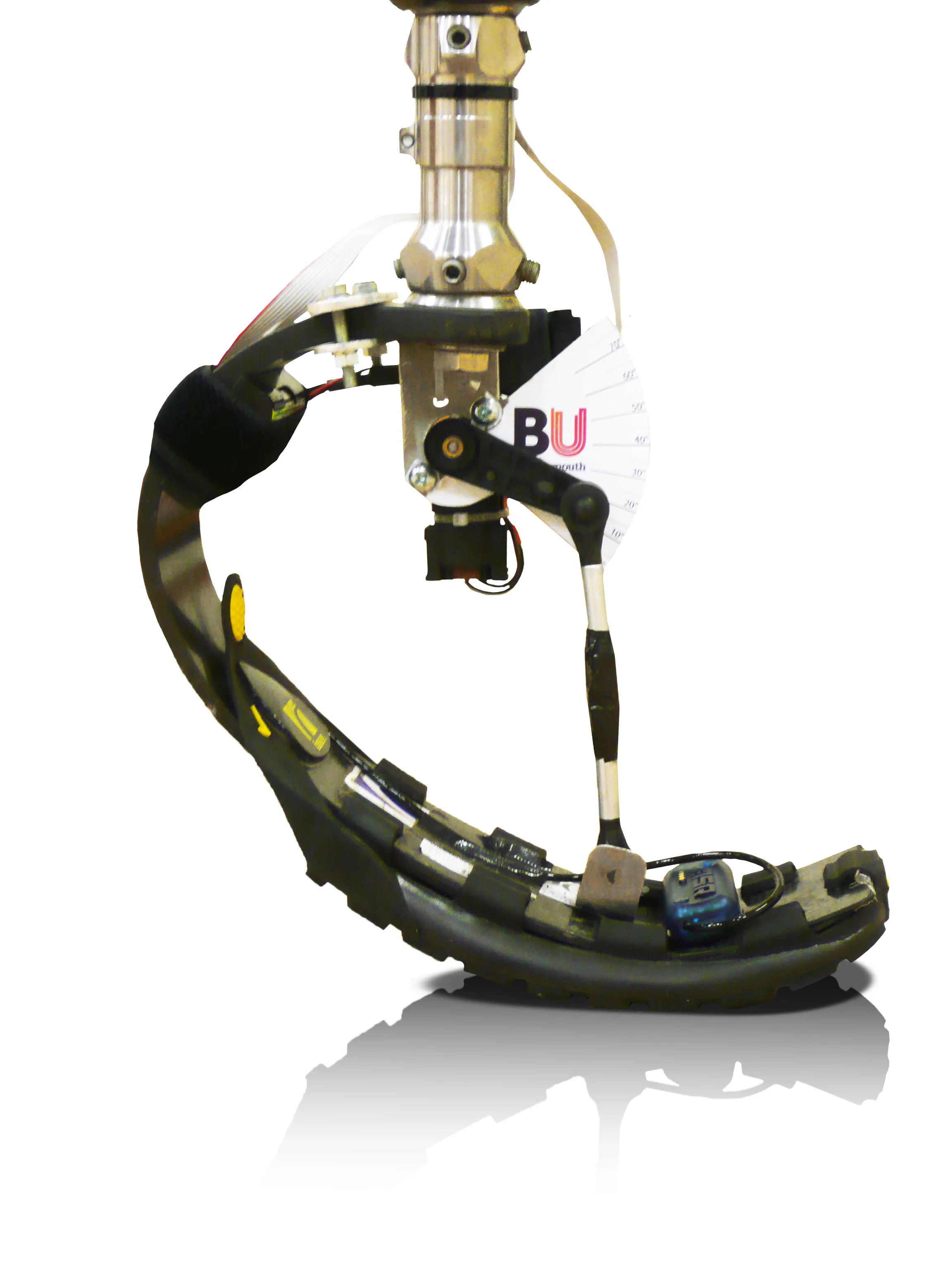 Freedom foot instrumented.jpg