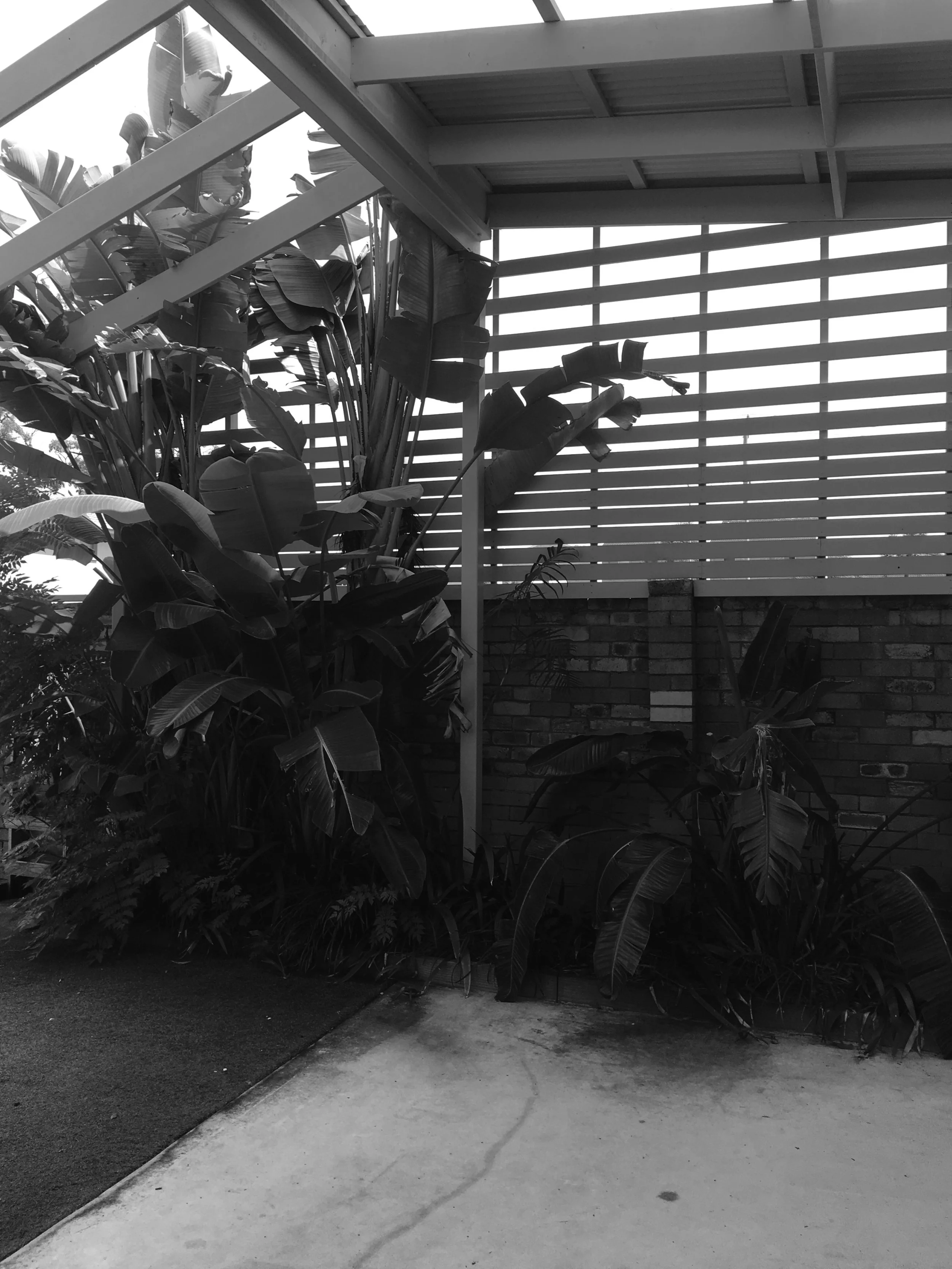 Existing Women's Shelter Review