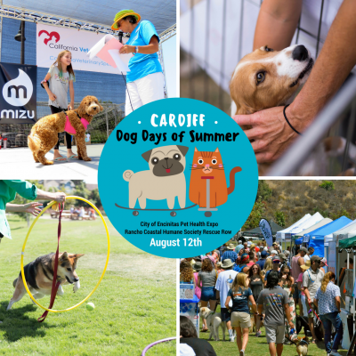 Adoption Event - Cardiff Dog Days of Summer