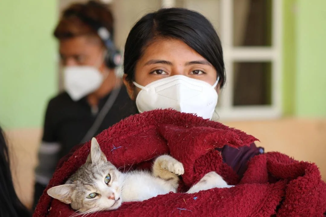 Spay & Neuter in Guatemala - Dec+Nov 2020