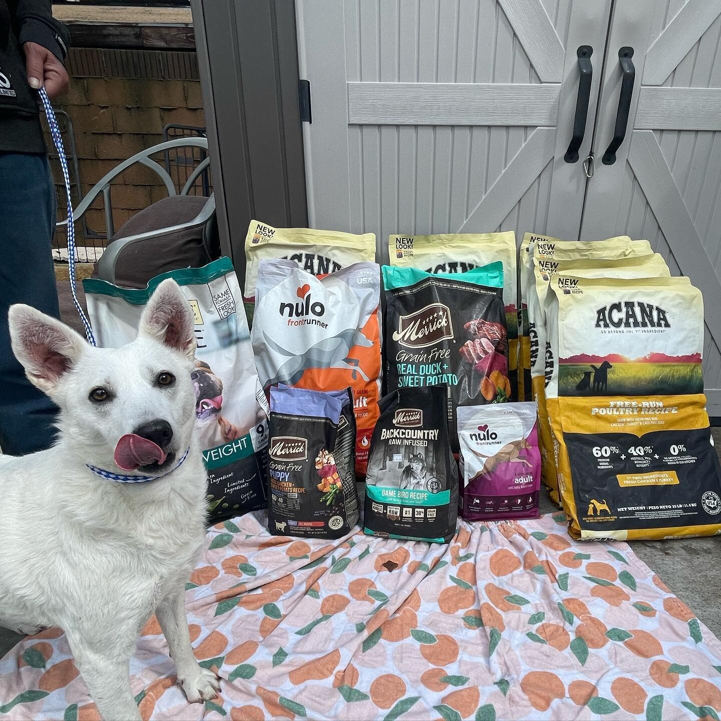 Rita is very excited for these donations from our neighbors @friendsfurever !!! We are so grateful for their donation! Please go check them out!

If you&rsquo;re ever looking for delicious, high value treats or maybe looking to try out some new dog o