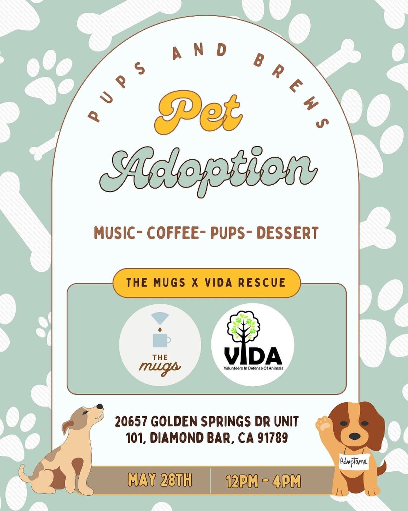 ❤️‼️ ADOPTION EVENT ‼️❤️

Join us Sunday, May 28th from 12-4 PM @themugsusa ! They will be hosting us for this adoption event. Swipe to see some of our dogs that will be going! 

Let us know below if you&rsquo;ll be coming! 🥰

#adoptionevent #southe