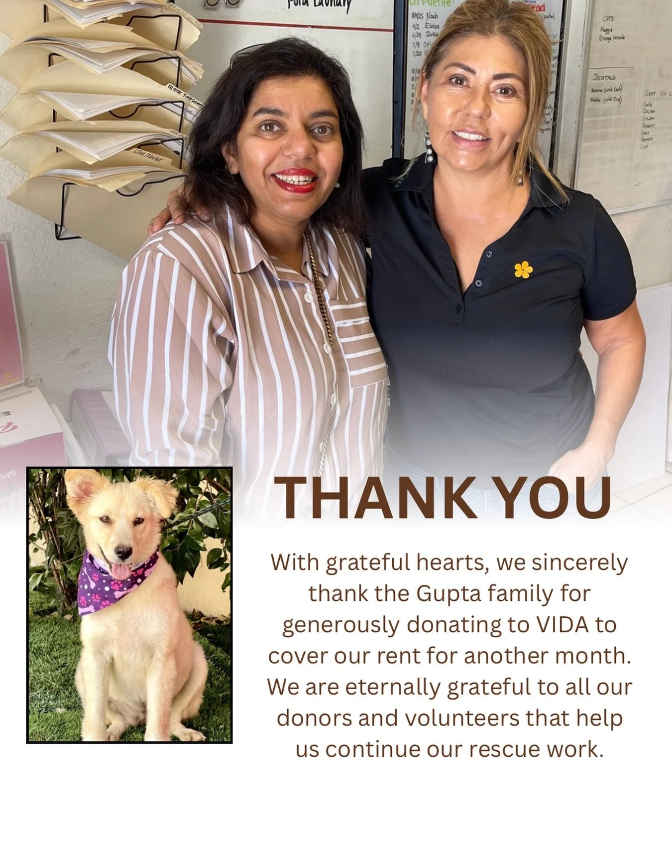 There are simply no words that express the amount of gratitude we have to this lovely woman. She came to celebrate her birthday with the dogs of the rescue by bringing them each a treat. Then she brought us to tears by donating enough money to cover 