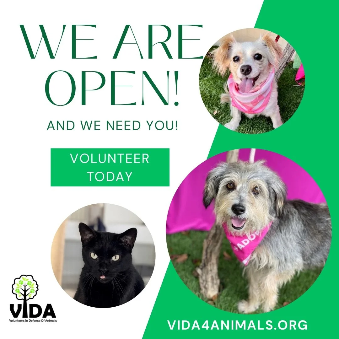 🐾 WE&rsquo;RE STILL OPEN &mdash; AND WE NEED YOU! 🐾

There&rsquo;s some GOOD NEWS to share! 💚

While our plans to move to a new location are still in place, a generous donor has stepped up and paid the rent for our current facility for another few