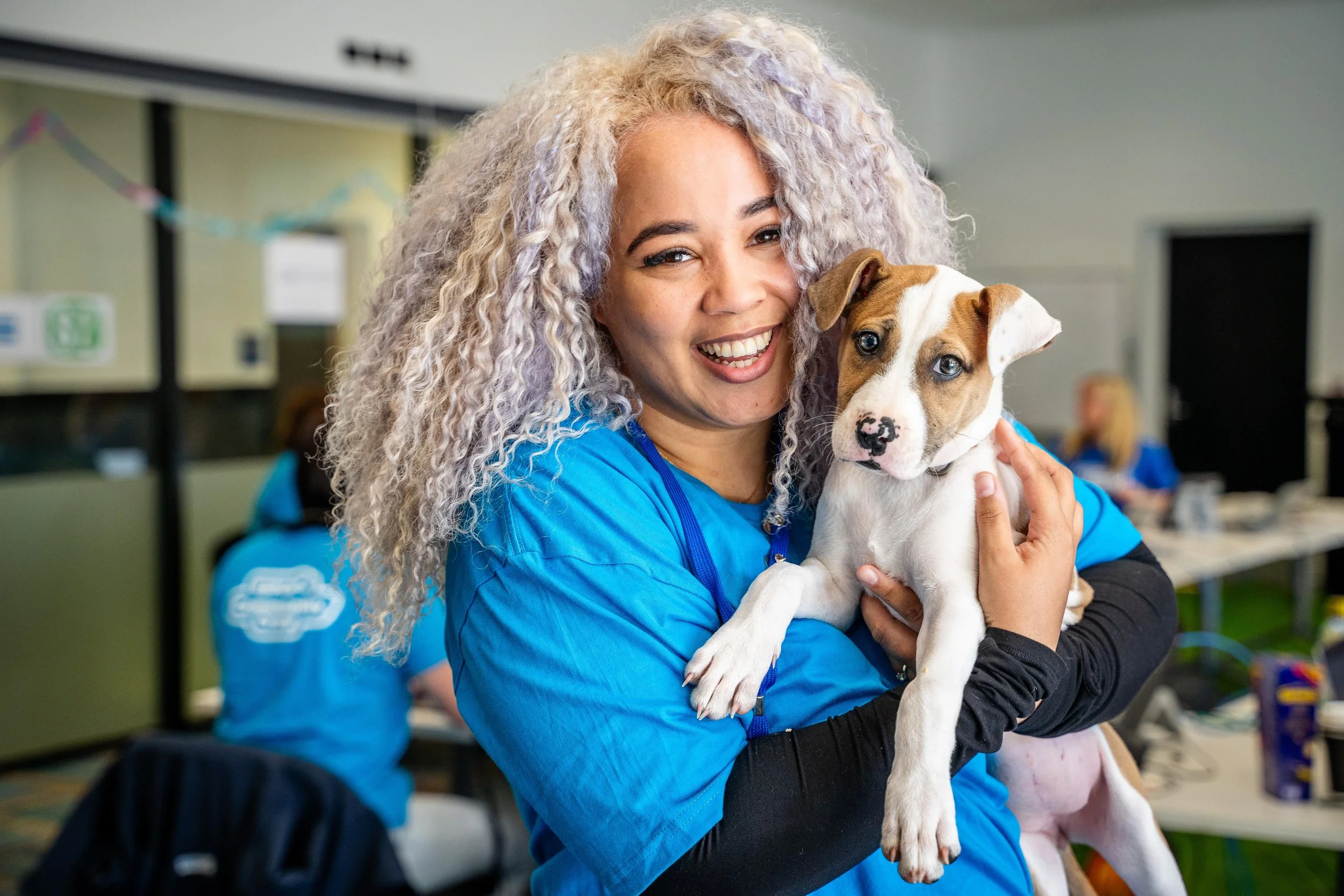 rescued dog