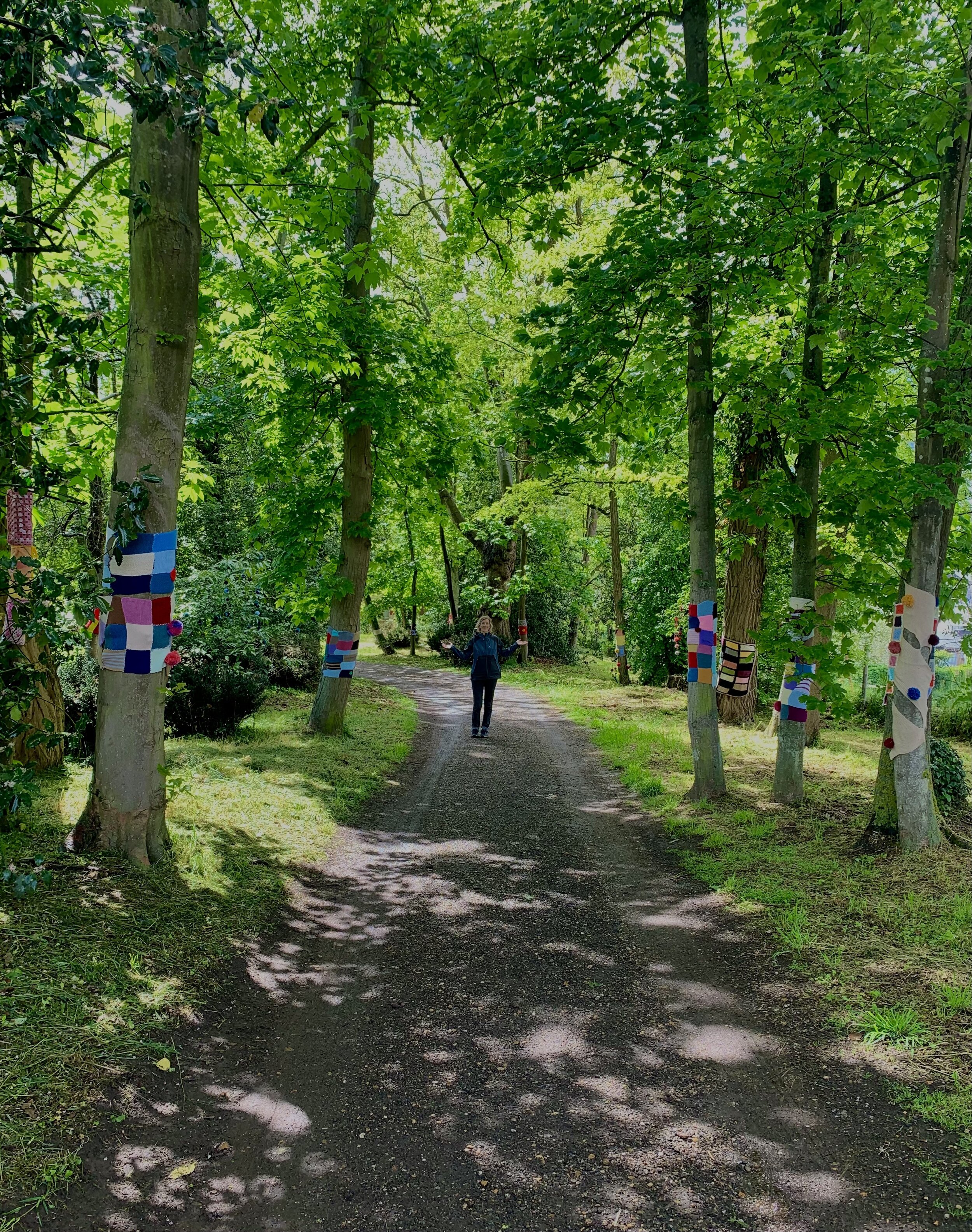 avenue of trees.jpg