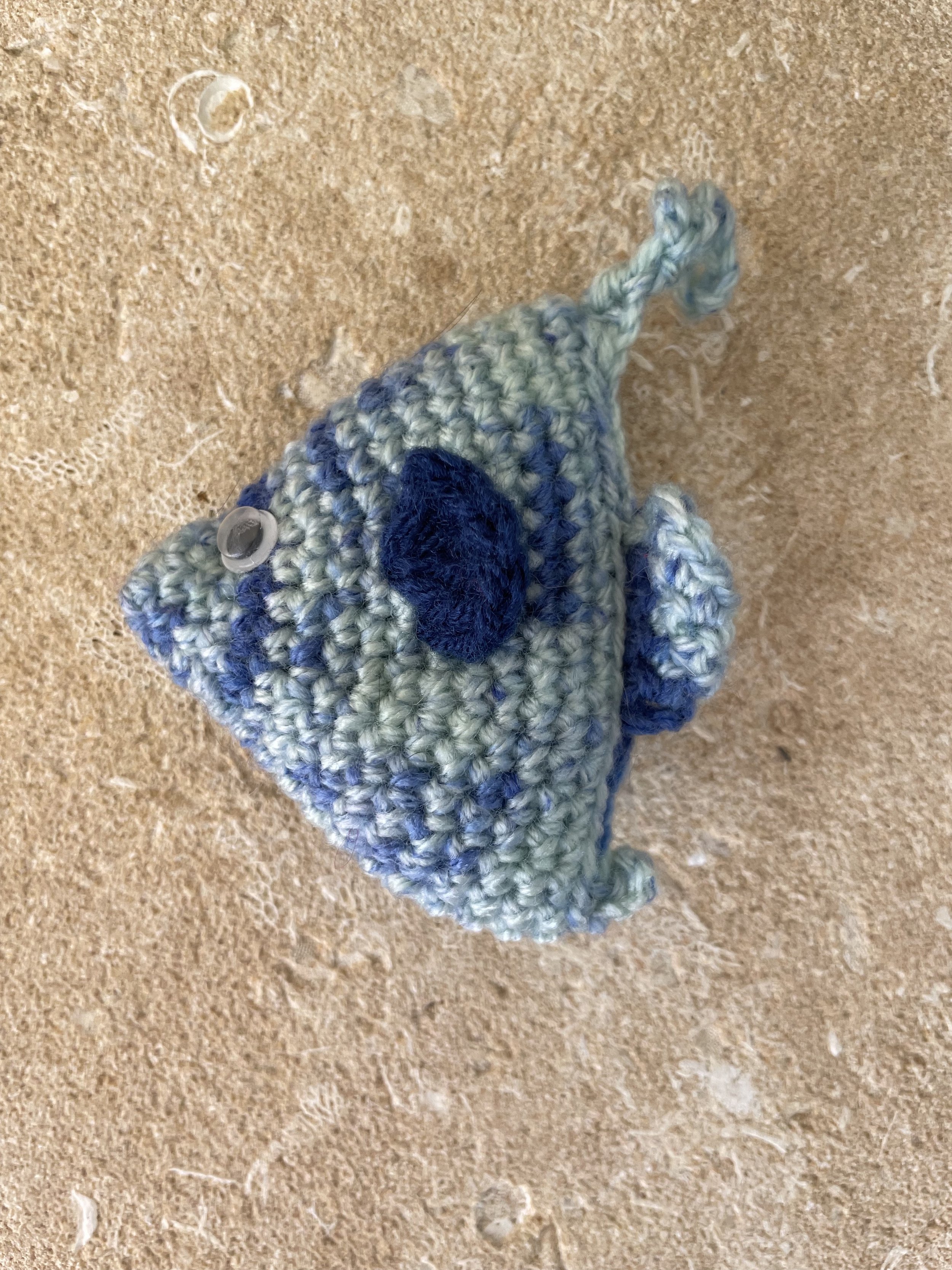 blue angelfish.jpg